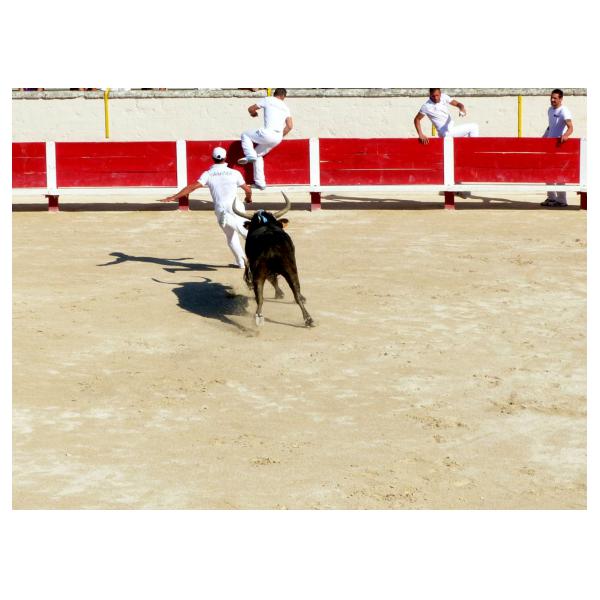 PHOTO84, CLUB, 84 , LUBERON